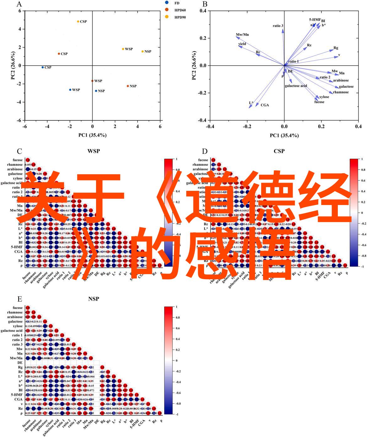 大道至简的智慧追求生活的本真之美