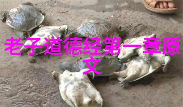 高人隐世的智慧探寻得道者为何选择隐匿