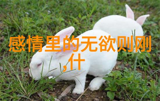 道教圣贤的风范与神通