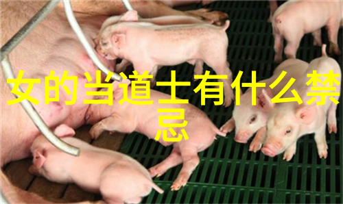 玉皇大帝的真实名字探秘