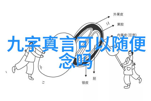 道心不昏中国现代十大道教名人的传奇足迹