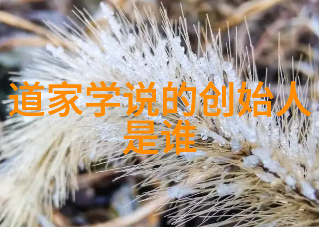 天界高手云集揭秘鸿钧老祖平级强者的真面目