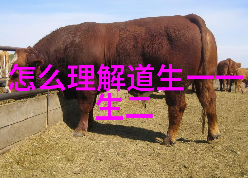 道教中哪些人物的地位最为崇高