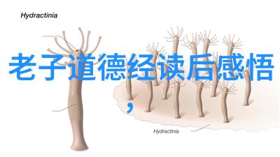 道家著名人物道家历史上的杰出修炼者