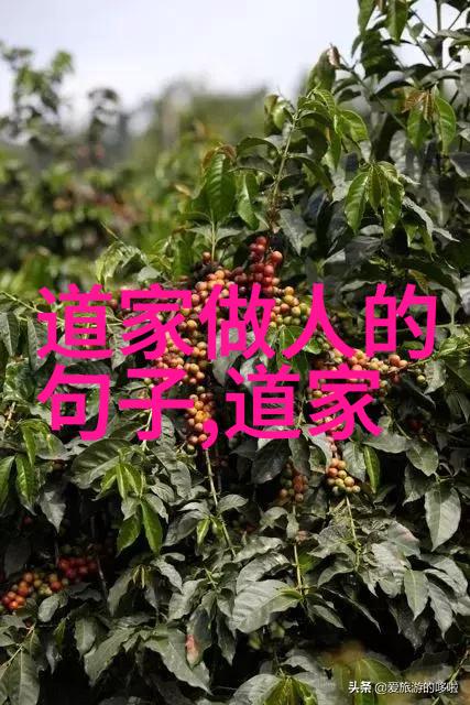 女人学易经提升人生智慧女性易经学习成果