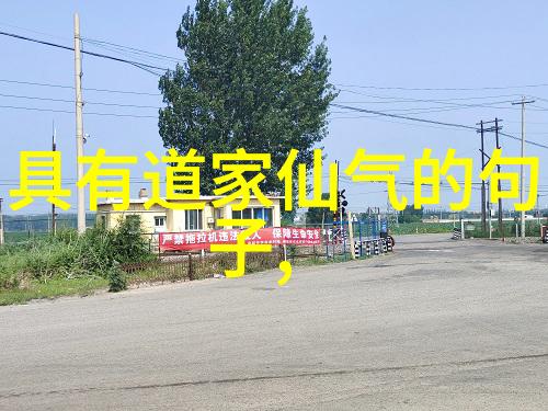 道教神秘大师紫衣道长的传说