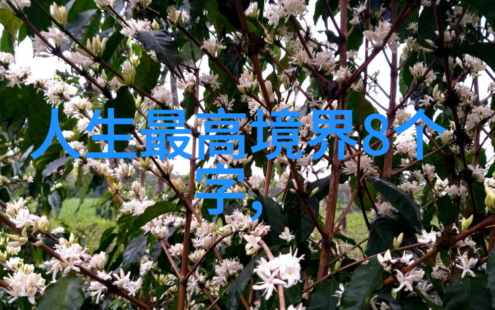 道家的宇宙观与人生态度通过十大经典书籍窥视内在世界