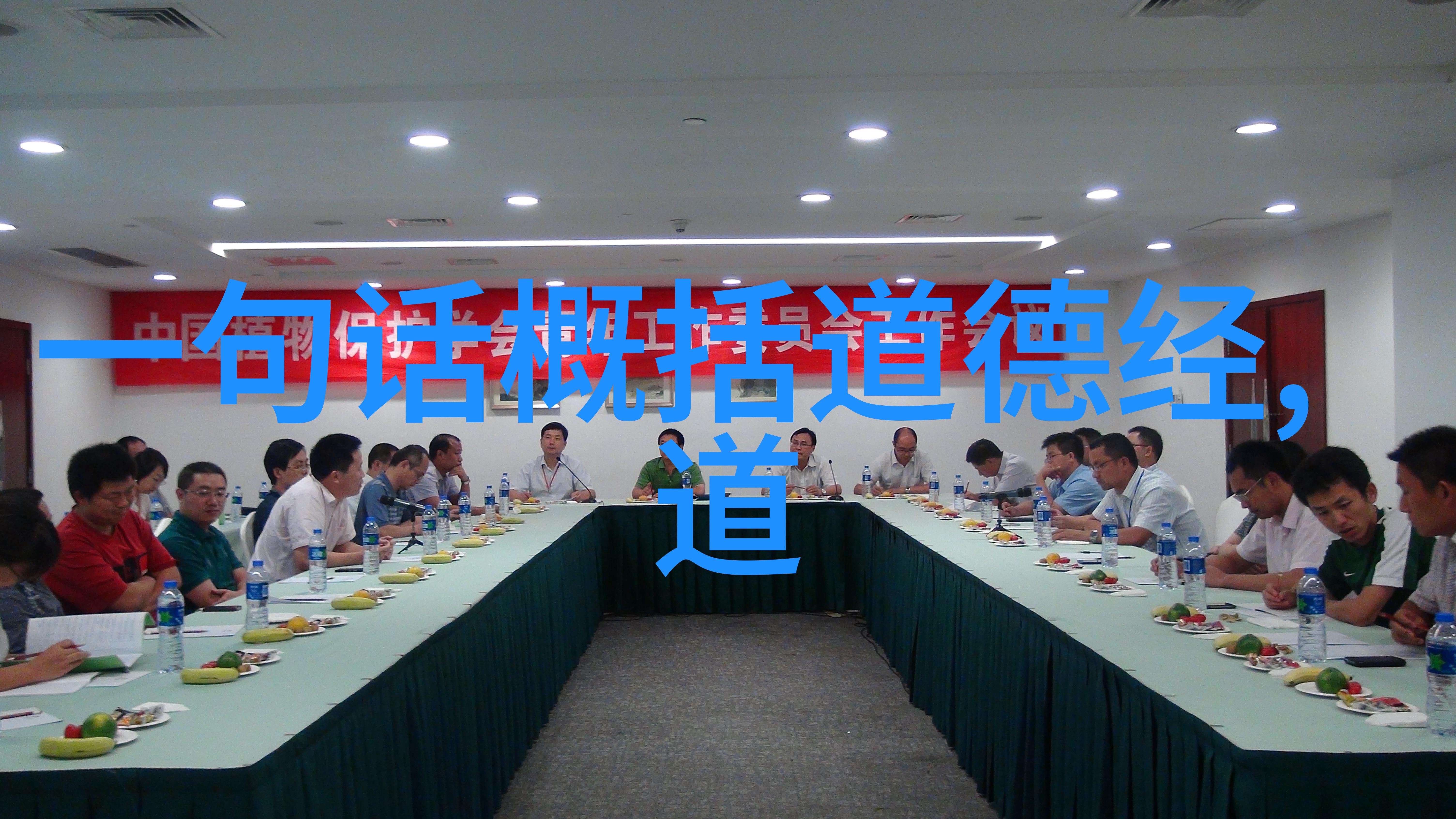 老子道法自然的哲学深度探索老子的无为智慧与对自然的尊重