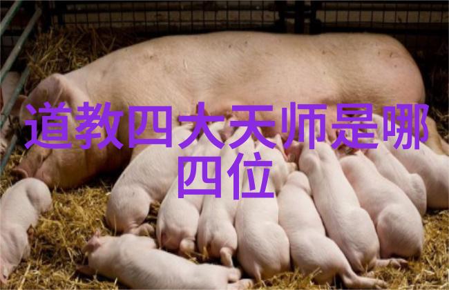 学派与学说的区别咱们聊聊这两者的差距