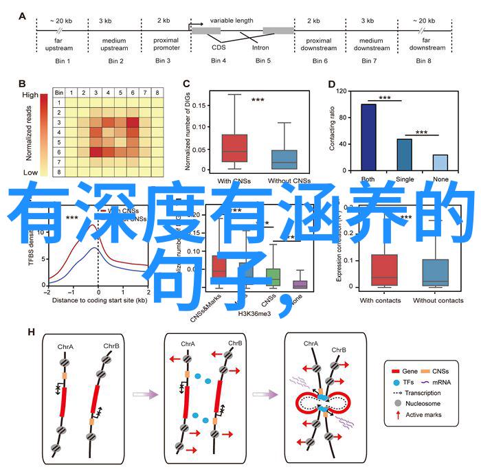 面对全球危机国家应该如何实施先天下之忧策略