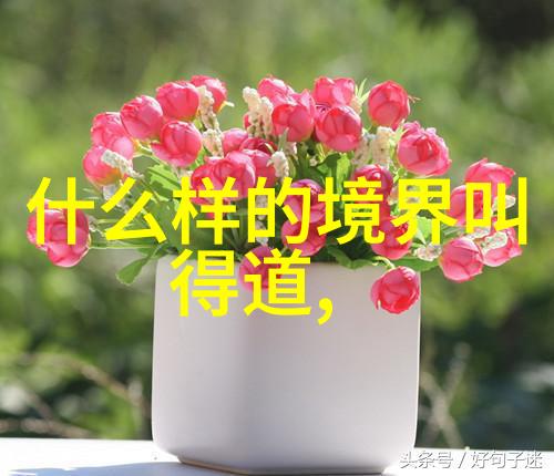修身修心修行的智慧内在品质提升