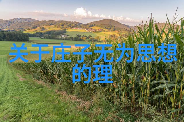 勇者精神的不屈之旅