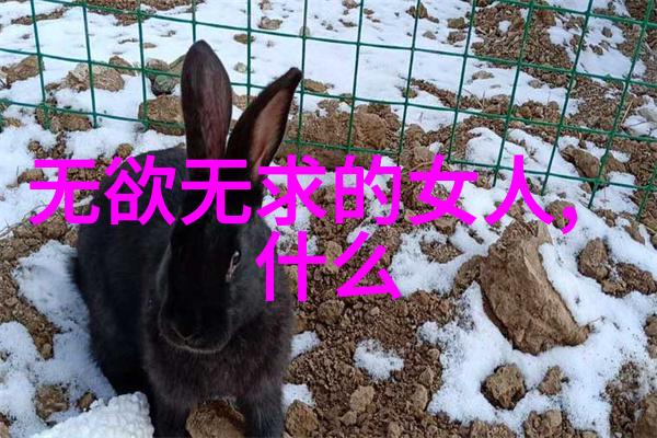 清风幽境寻觅古老道士的和谐呼号