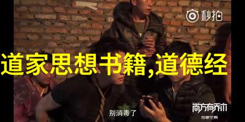 儒道观心灵的双刃剑