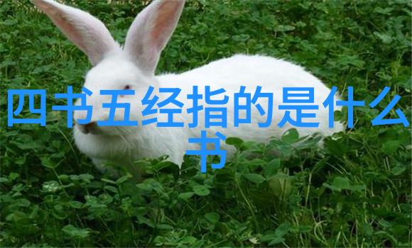 道家思想的代表人物-道德经与庄子探索古代智慧的源头