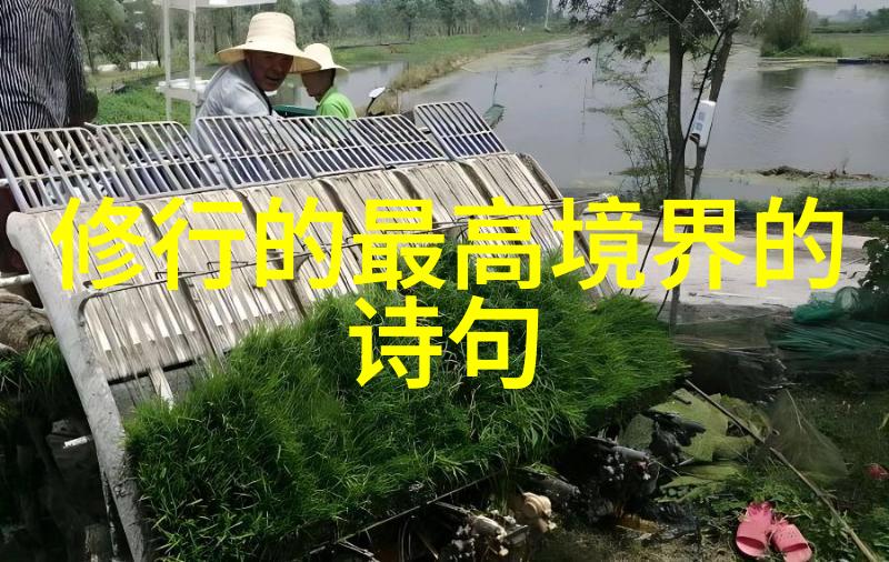 修道院的隐秘之名探索中世纪宗教界的名字文化