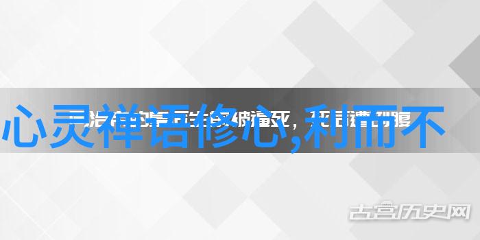 道家修炼的最高境界是什么-至高无极探索道家内丹术的终极境界