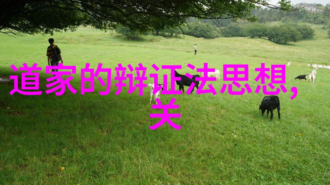 道家哲学探索老子庄子列仙传的智慧