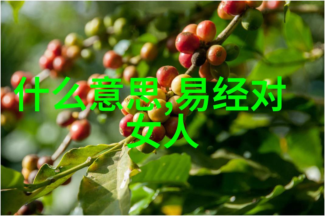 女性智慧中的道理精髓解读大道至简的哲学深意