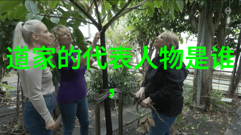 从禅到无为探索中国传统文化中的精神层次