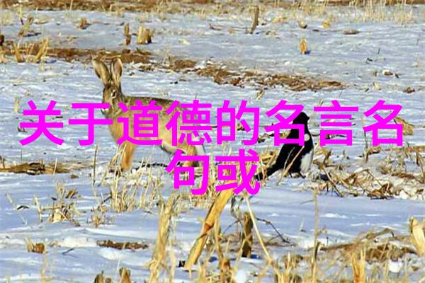 道法自然笑傲江湖当今世高人的荒唐事迹