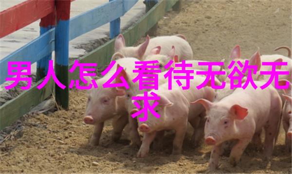 道家代表人物及作品-探索道家的智慧庄子老子的哲学之旅