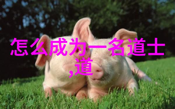 铁石心肠探索女人无欲则刚背后的心理深度
