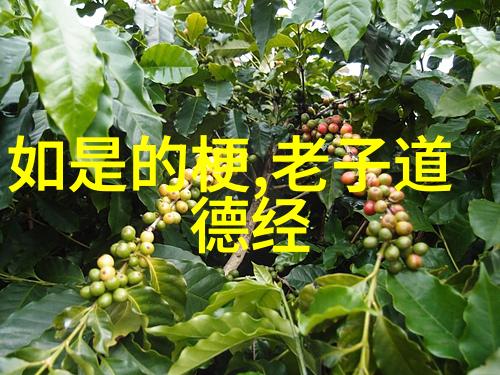 瘦子再次遇见白洁爱情与自我革新的故事