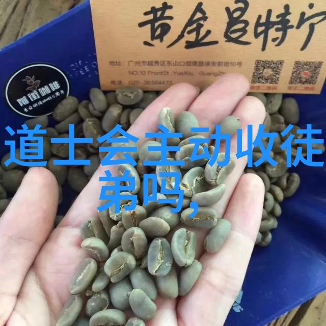 道家修炼的最高境界是什么-至虚无极探寻道家内丹大成之谜