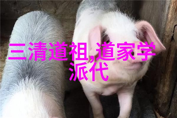 德道经探索在古籍中寻找的完美品质