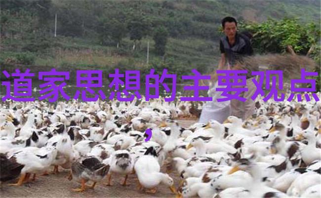 念九字真言后果引发的神秘力量和不可预知的结果
