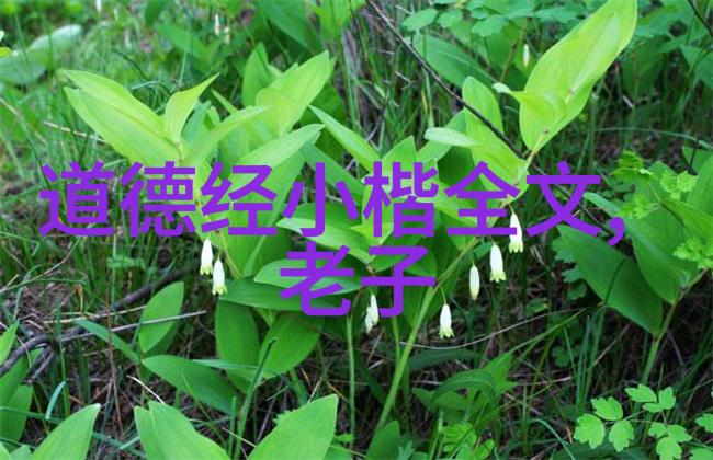 绘卷印契书画印章常识探究