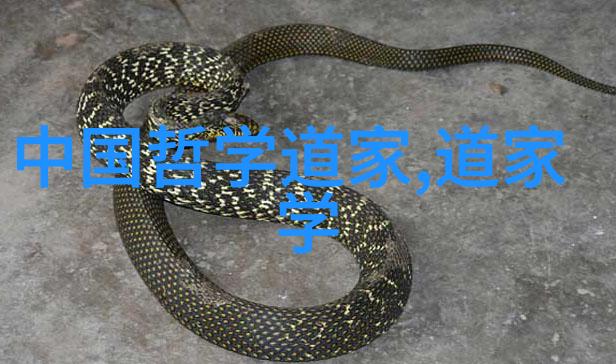 女人无欲则刚的人是什么心态我是如何一步步领悟到这段话的深刻含义