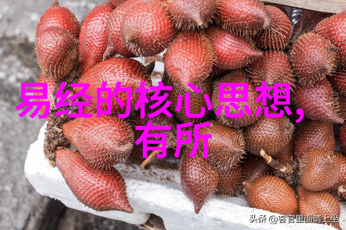 我来解释四书五经古代学子们的必修课