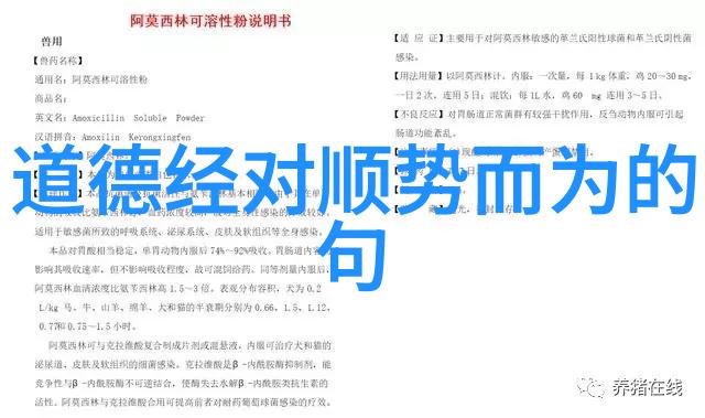抄写与诠释探索现代诗歌的灵魂