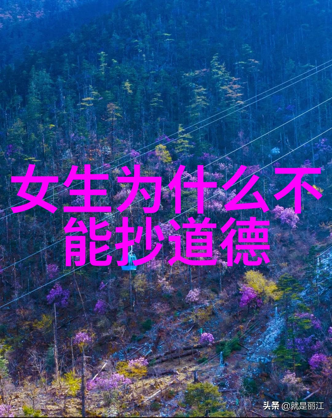 王充对道家的批判以及论衡的价值观念