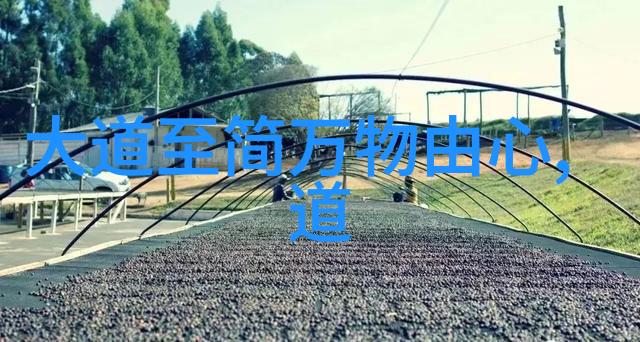 探索精髓揭秘大道至简的哲学奥义