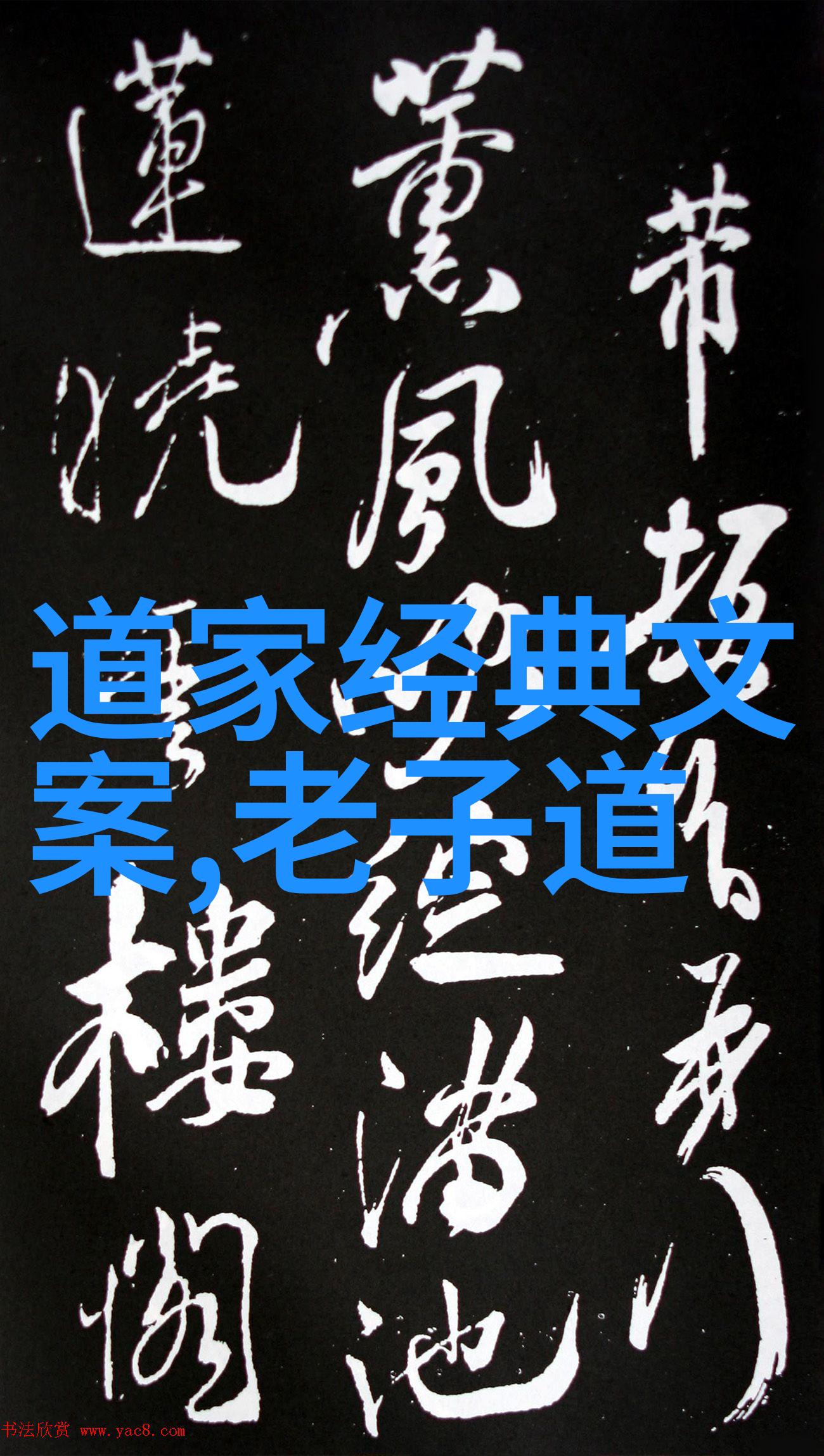在现代社会无为之治有何应用价值