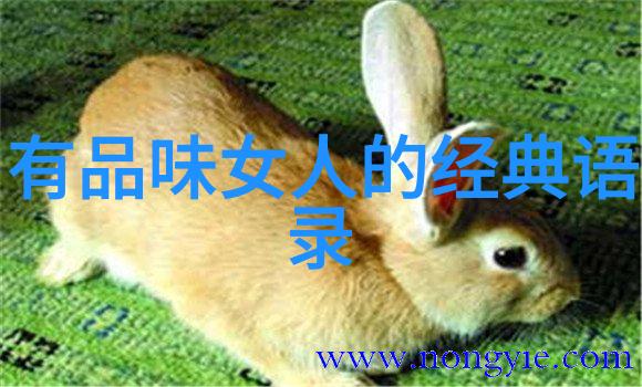 修道之境探索心灵的层次与修行的不同阶段