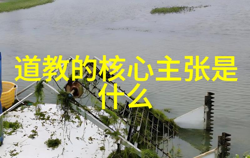 什么叫无欲则刚-无欲则刚的内涵与实践