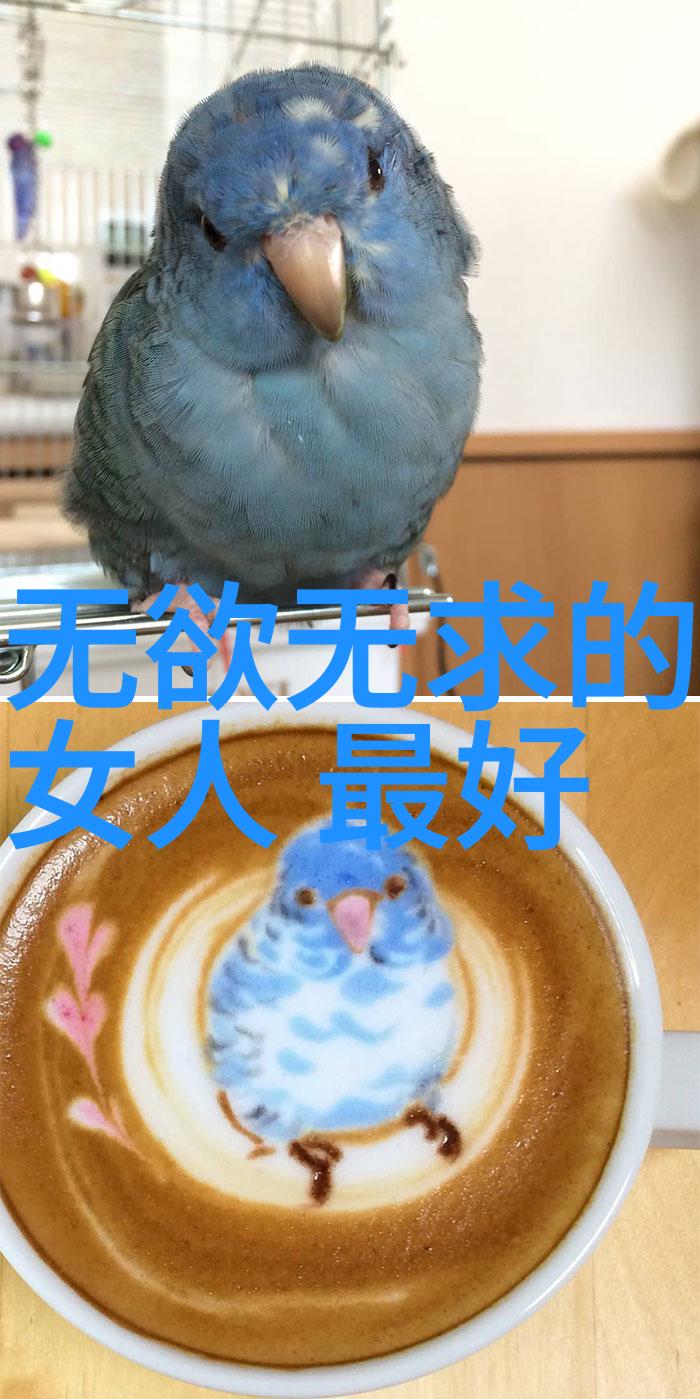 从庄子到老子探索古代中国文人的道思想变迁