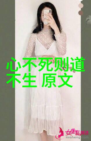他们在推广道家的过程中遇到了什么困难