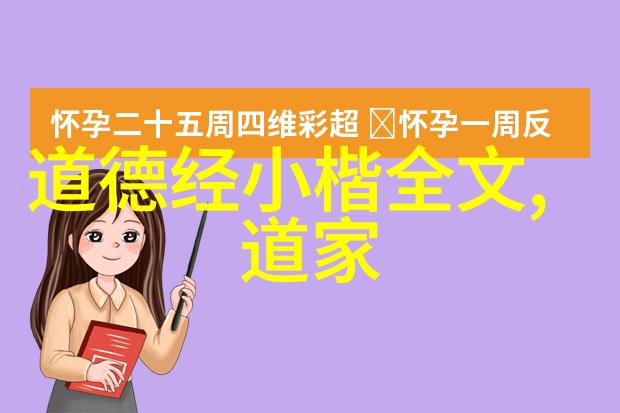 小说家的思想主张我写作的那些不为人知的信念