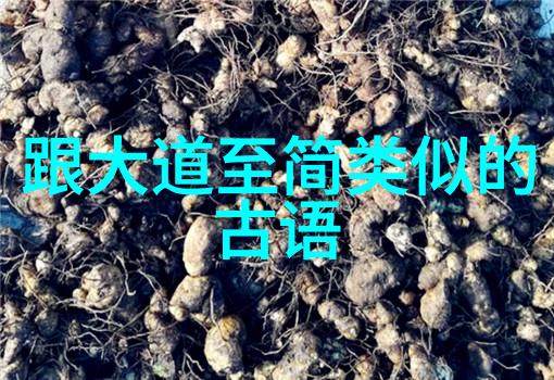 愿所求皆所愿追逐内心真实的快乐之旅