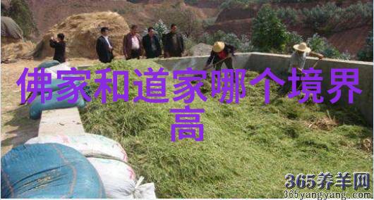 品味古代文学精华对兰亭集序的批评与欣赏