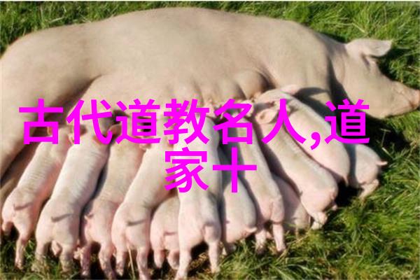 道教经典静谧的森林与激荡的海洋