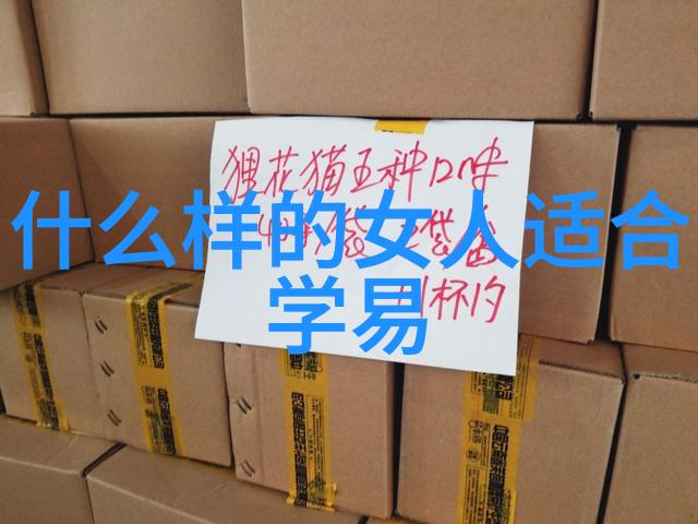 金银瓶1一5电影主题总结爱情与现实的交织与超越