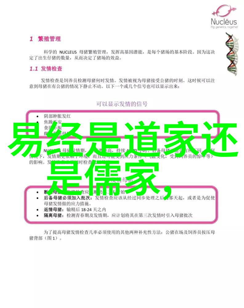 悟道之境探索大彻大悟的禅意对联