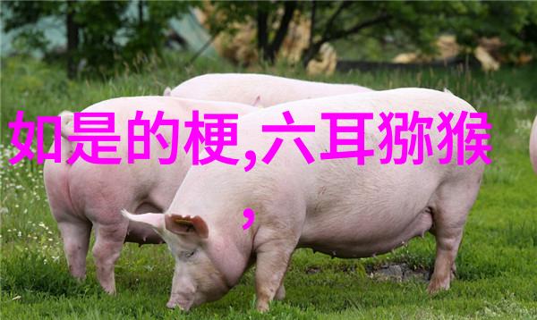 君子之道有为而非有为者