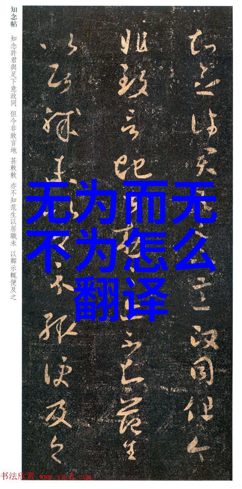 水流中的甜蜜探索生活中的每一个角落